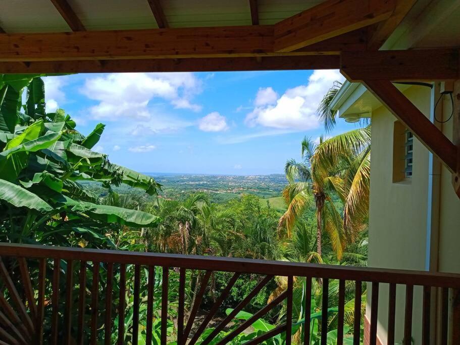 Martinique La Petite Maison Dans La Colline เลอ ลามองแตง ภายนอก รูปภาพ