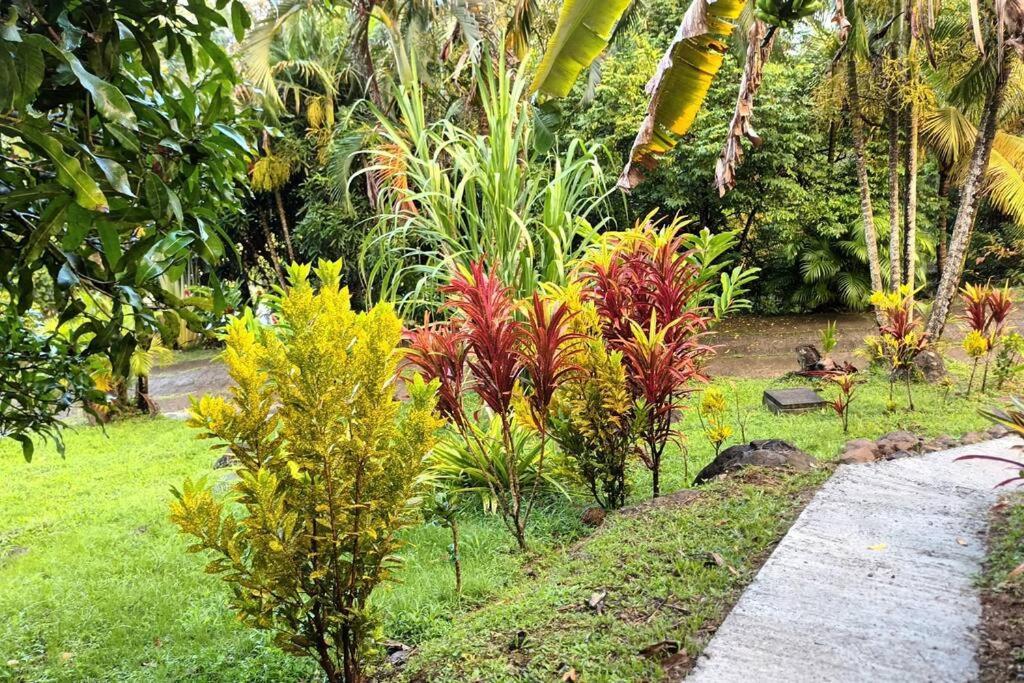 Martinique La Petite Maison Dans La Colline เลอ ลามองแตง ภายนอก รูปภาพ