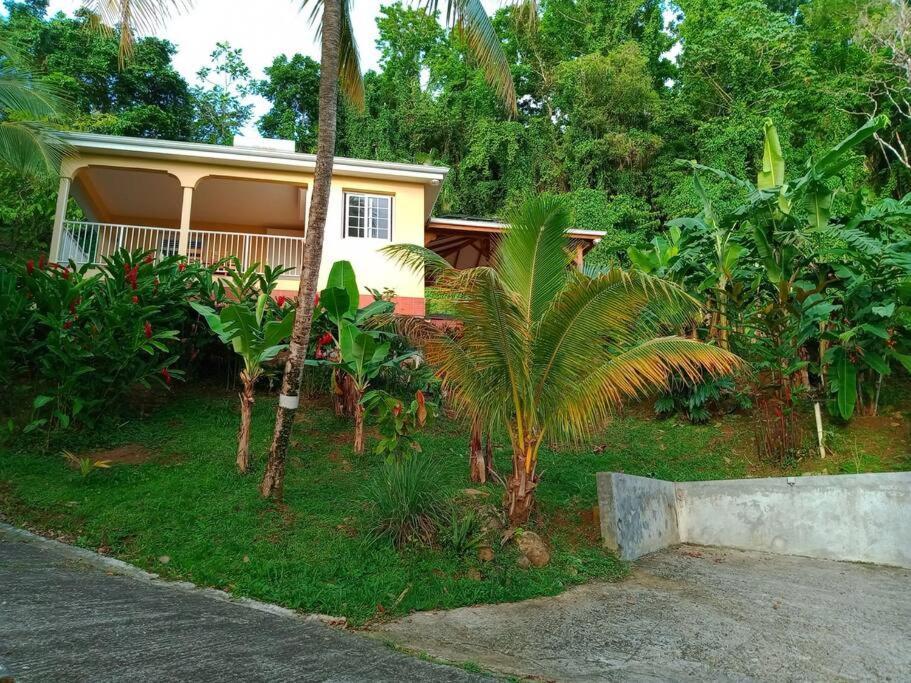 Martinique La Petite Maison Dans La Colline เลอ ลามองแตง ภายนอก รูปภาพ